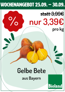 Gelbe Bete