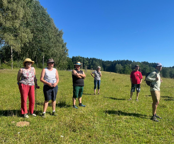 KI generiert: Eine Gruppe von Menschen steht auf einer Wiese bei sonnigem Wetter.