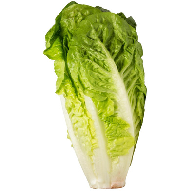 Produktfoto zu Salatherzen Romana