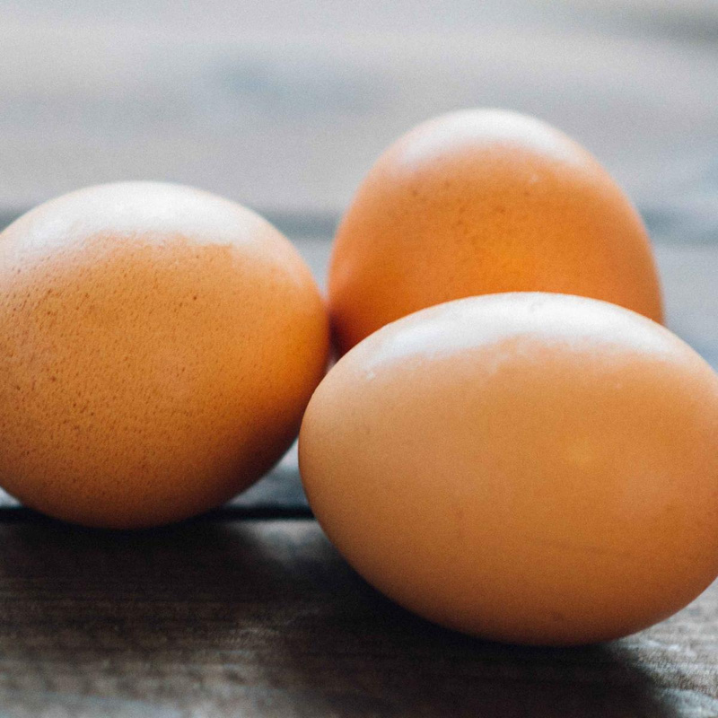 Eier