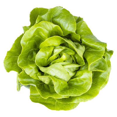 Produktfoto zu Kopfsalat