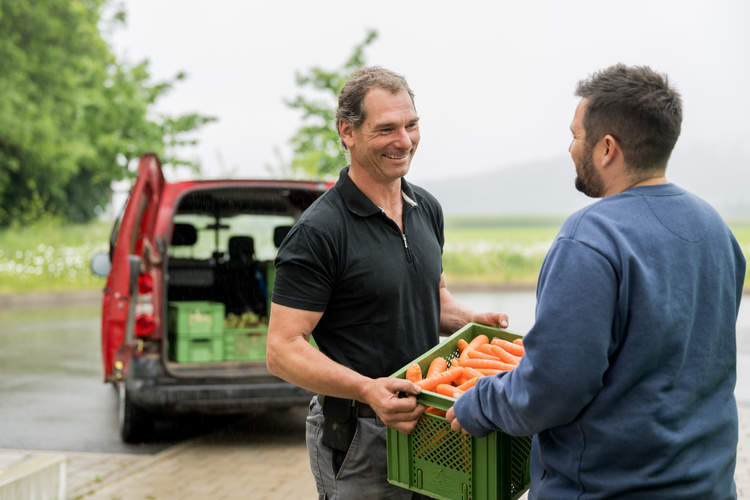 KI generiert: Zwei Männer tauschen eine Kiste mit Karotten vor einem Auto.