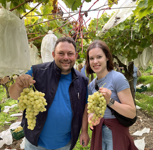 KI generiert: Zwei Personen halten Trauben, stehen unter einem Rebstock mit Tüten umgeben.
