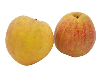 Produktfoto zu Apfel Boskoop