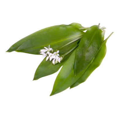 Produktfoto zu Bärlauch lose