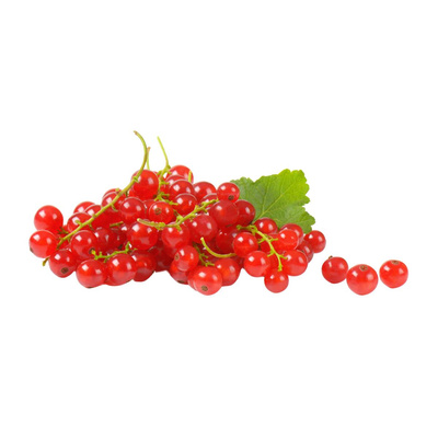 Produktfoto zu Johannisbeeren rot 250g
