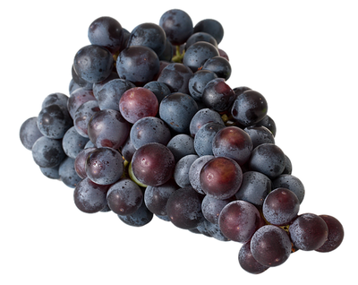 Produktfoto zu Weintrauben blau Muscat