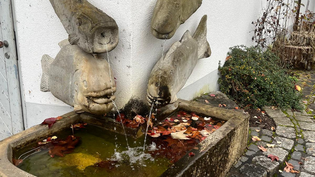 KI generiert: Das Bild zeigt einen dekorativen Brunnen mit steinernen Fischskulpturen, aus denen Wasser fließt. Herbstliches Laub und Blätter umrahmen die Szene.