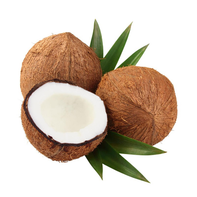 Produktfoto zu Kokosnuss