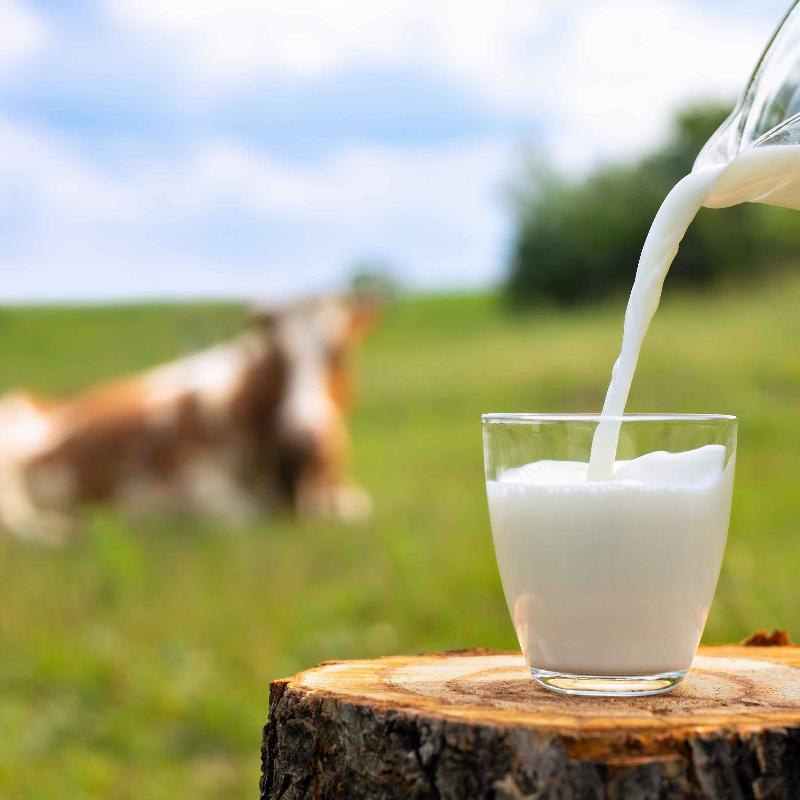 Milch