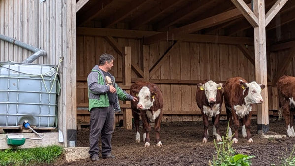 KI generiert: Ein Mann steht vor einem Stall und streichelt eine Kuh.