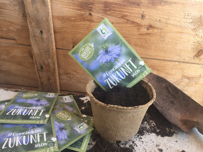 Saatgut in einem Topf