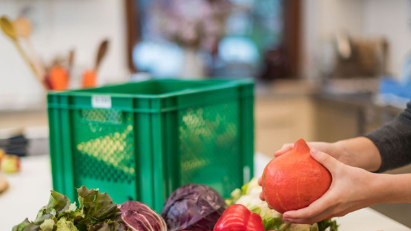 KI generiert: Das Bild zeigt drei verschiedenfarbige Kürbisse (grün, gelb/grün gestreift und orange) auf einem Feld mit grünen Blättern. Sie liegen nebeneinander auf dem Boden und sind von Pflanzenteilen umgeben.