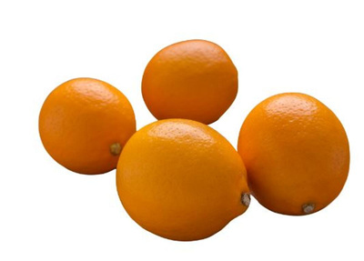 Produktfoto zu Meyer Zitronen