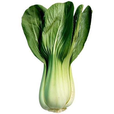 Produktfoto zu Pak Choi