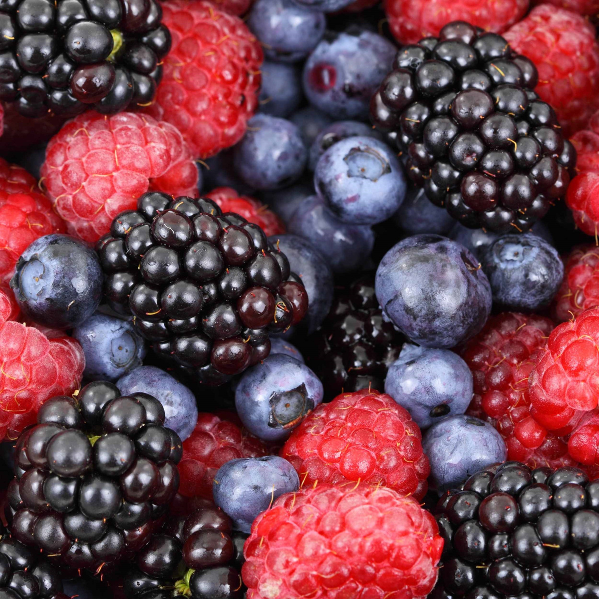 KI generiert: Das Bild zeigt eine Vielfalt an frischem Obst und Gemüse, darunter Karotten, Radicchio, Orangen, Granatäpfel, Kürbis und Grünkohl. Die bunten und frischen Lebensmittel sind in einem Korb arrangiert.