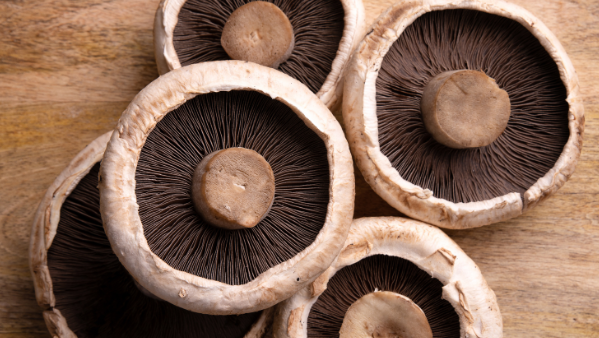 KI generiert: Fünf Portobello-Pilze mit braunen Lamellen auf einem Holzuntergrund.