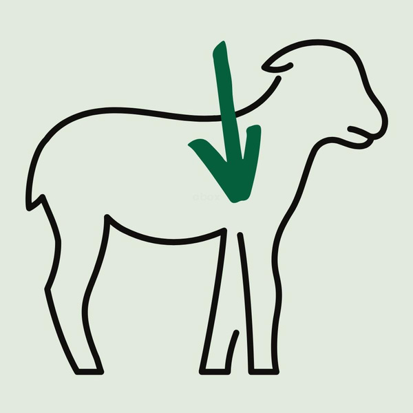 Produktfoto zu Lammkeulenscheiben zum Braten