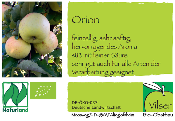 KI generiert: Apfel-Orion-Beschreibung: feinzellig, saftig, süß mit Säure, sehr gut zur Verarbeitung geeignet. Bio-Obstanbau.