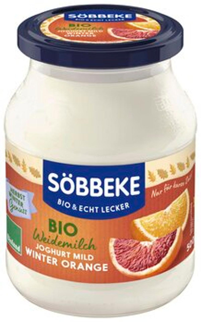 Produktfoto zu Joghurt Winter Orange, 500g