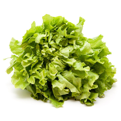 Produktfoto zu Endiviensalat