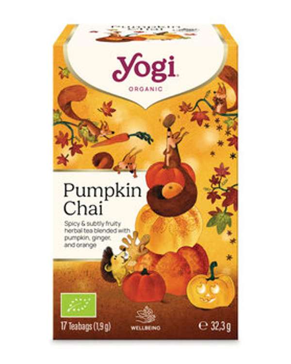 Produktfoto zu Kräuter- und Gewürztee Pumpkin Chai