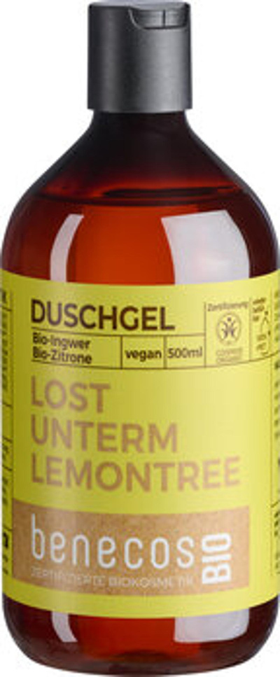 Produktfoto zu Duschgel Ingwer & Zitrone