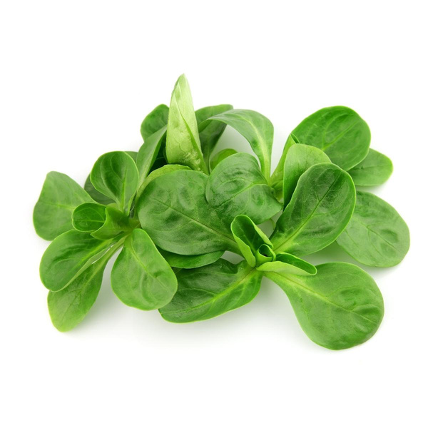 Produktfoto zu Feldsalat regional