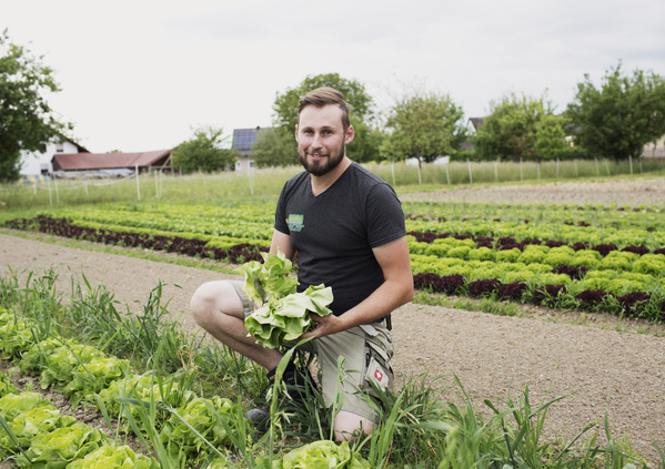 KI generiert: Das Bild zeigt zwei Personen an einem Teichrand beim Fischfang. Eine Person steht im Wasser mit einem Kescher, während die andere Person am Ufer steht.