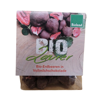 Produktfoto zu Erdbeeren in Vollmilch-Schokolade, gefriergetrocknet