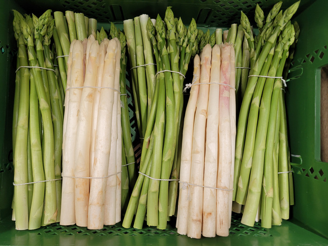 KI generiert: Grüner und weißer Spargel in Bündeln in einer grünen Kiste.