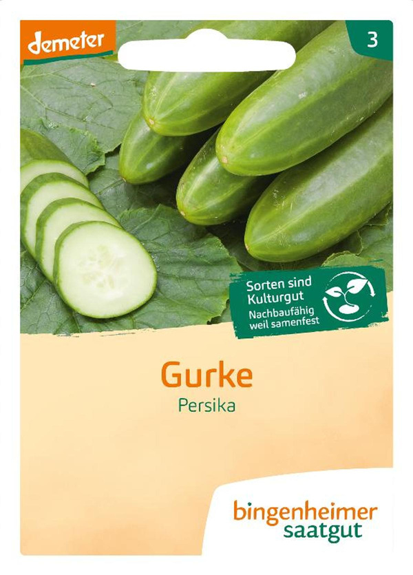 Produktfoto zu Gurke Saatgut