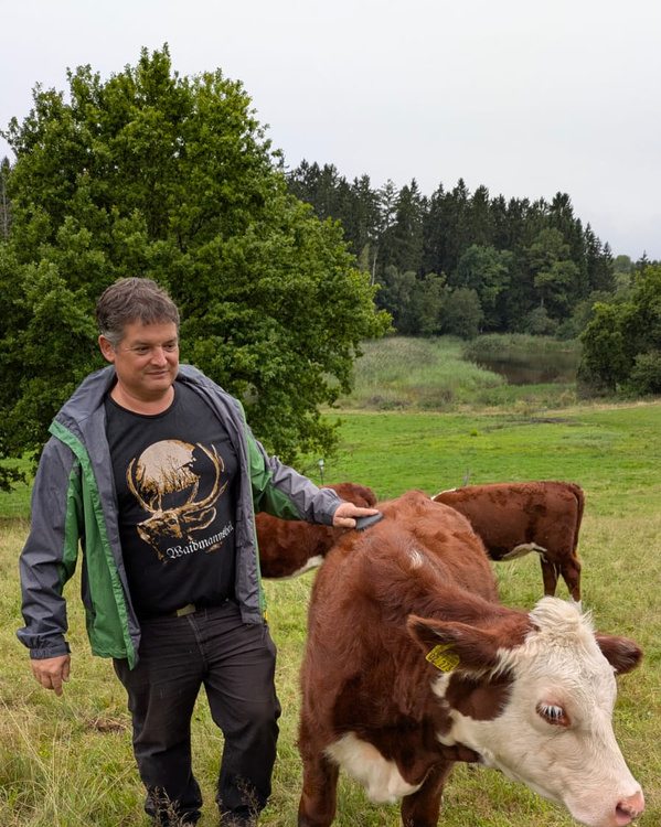 KI generiert: Ein Mann streichelt eine Kuh auf einer grünen Wiese vor einem Wald. Sein T-Shirt hat ein Hirschmotiv mit "Waidmannsheil".