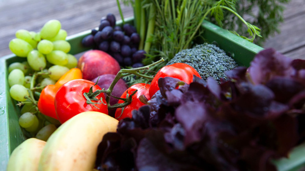 KI generiert: Frisches Obst und Gemüse, darunter Trauben, Tomaten, Äpfel und Brokkoli, in einer grünen Kiste.