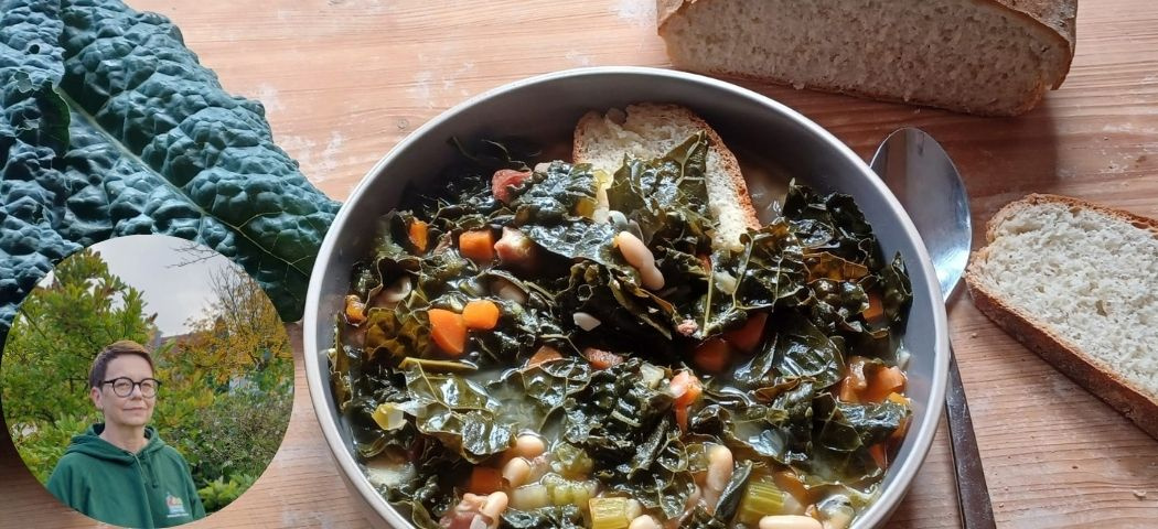 Susis Apfelschmandkuchen