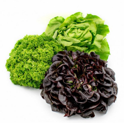 Produktfoto zu Salat gemischt