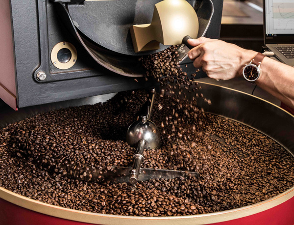 KI generiert: Das Bild zeigt zwei Personen an einem Teichrand beim Fischfang. Eine Person steht im Wasser mit einem Kescher, während die andere Person am Ufer steht.