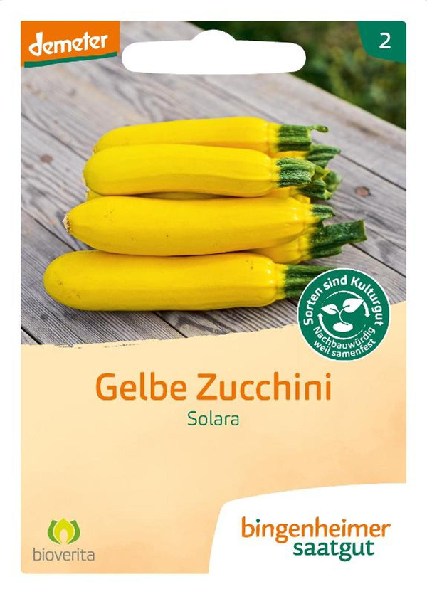 Produktfoto zu Zucchini, Gelbe Solara