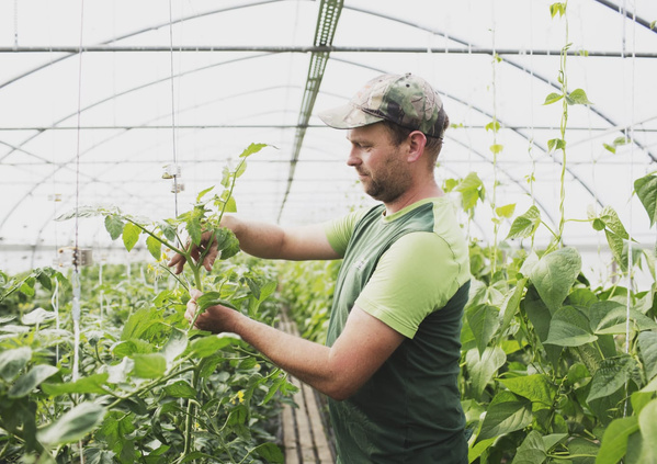 KI generiert: Das Bild zeigt zwei Personen an einem Teichrand beim Fischfang. Eine Person steht im Wasser mit einem Kescher, während die andere Person am Ufer steht.