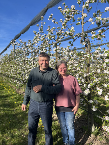 KI generiert: Zwei Personen stehen lächelnd in einer Obstplantage mit blühenden Bäumen.