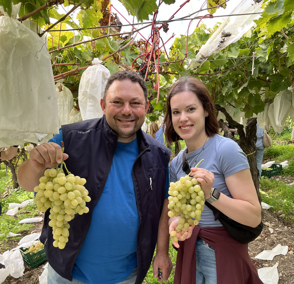 KI generiert: Zwei Personen halten Trauben in einem Weinberg.