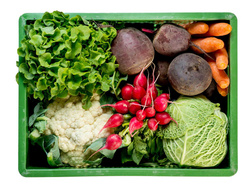 Produktfoto zu Regionalkiste Groß