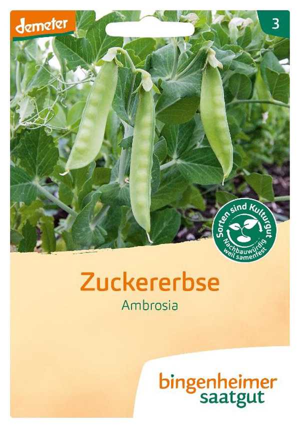 Produktfoto zu Saatgut Zuckererbse Ambrosia