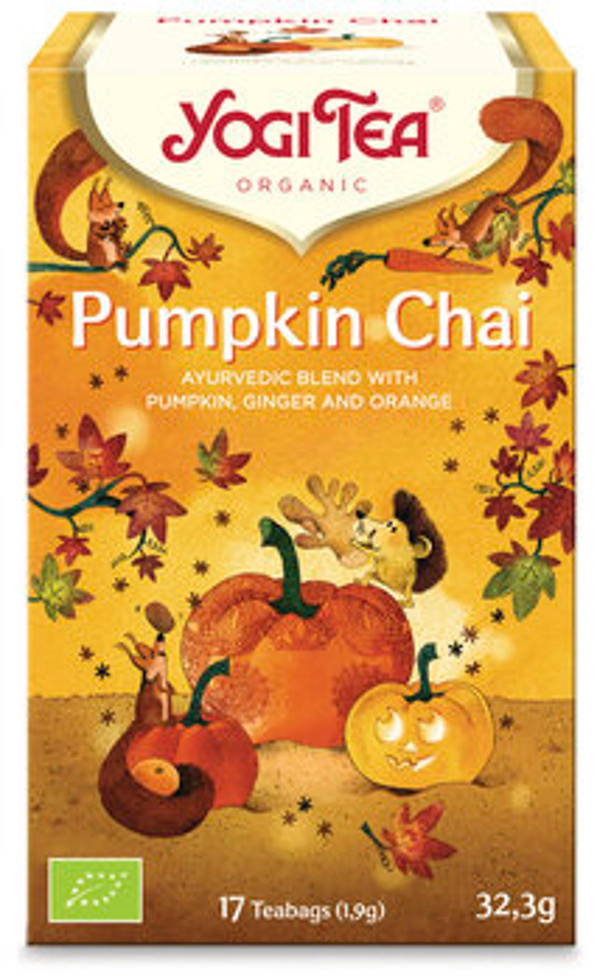 Produktfoto zu Kräuter- und Gewürztee Pumpkin Chai