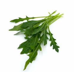 Produktfoto zu Rucola Bund regional