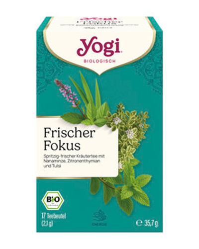 Produktfoto zu Kräutertee Frischer Fokus