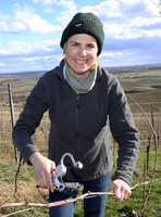 Winzerin Eva beim Biegen