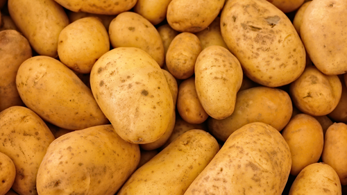 KI generiert: Nahaufnahme von gelben Kartoffeln.