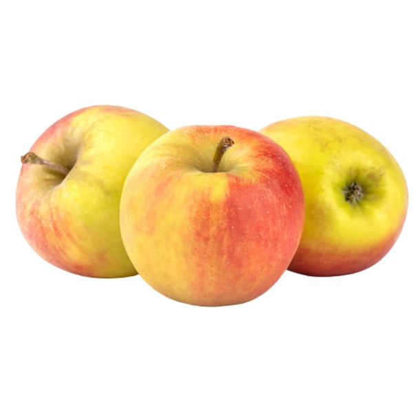 Produktfoto zu Apfel Elstar