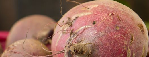 Rote Rüben